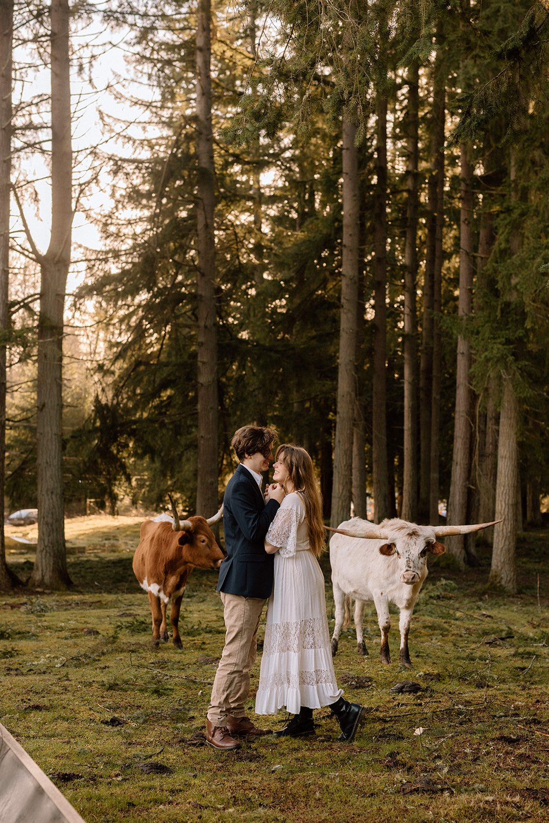 Couple holding hands during their PNW Engagement Photos with cows in a field