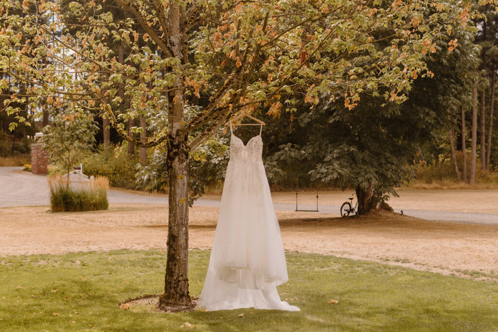 A wedding dress hung on a tree branch with a tree swing in the background at a Washington wedding venue. 
questions for wedding vendors 