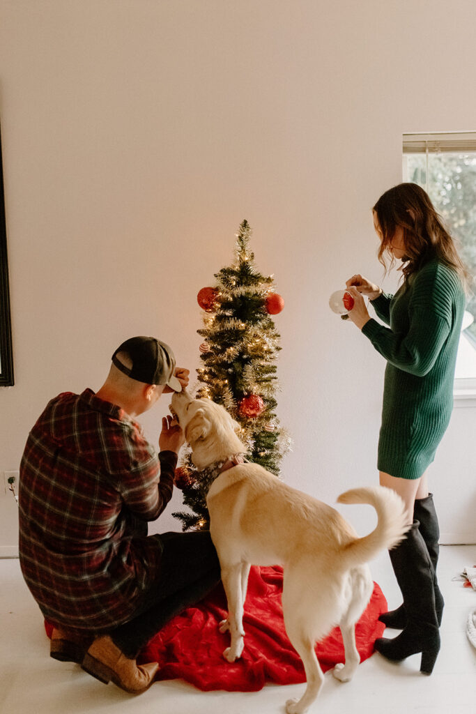 Christmas mini photoshoot