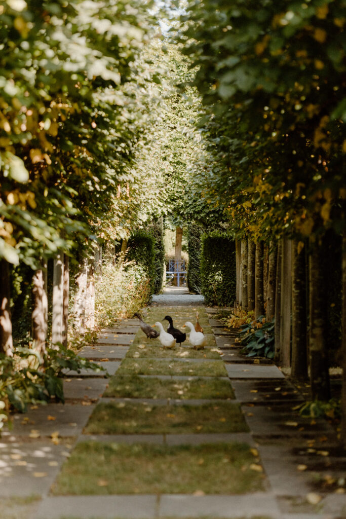 Whimsical Garden Wedding at Briarwood Estate