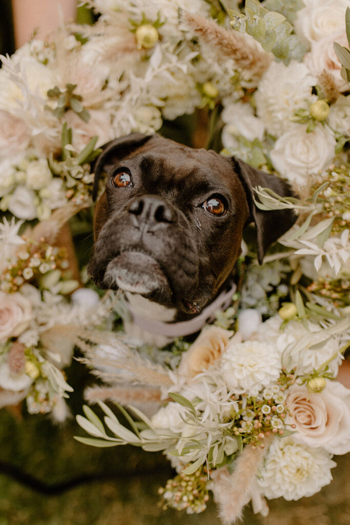 Machias Meadows Wedding Portraits